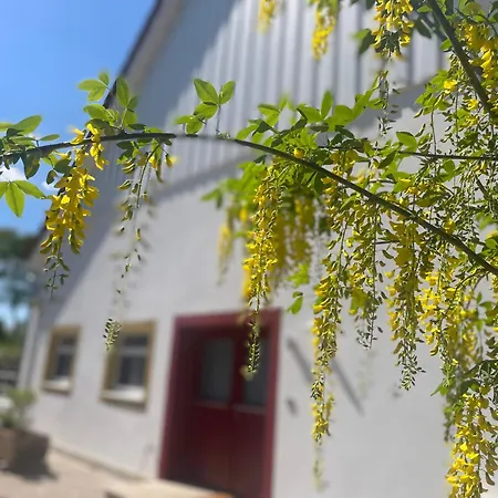 Ferienwohnung Daire *