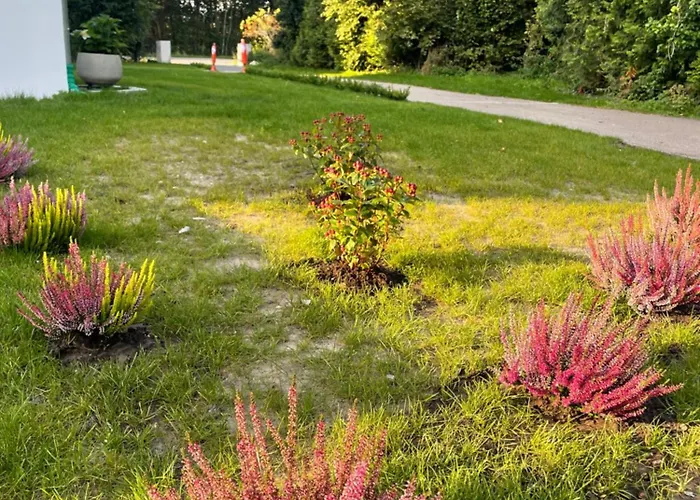 Ferienwohnung Apartment